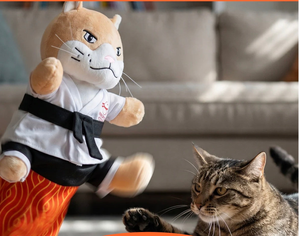 Ebook offert : Guide Judo Cat