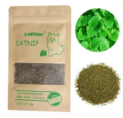 Sachet d'herbe à chat naturelle de 10 g, offert avec Judo Cat