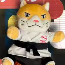 Judo Cat