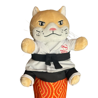 Judo Cat